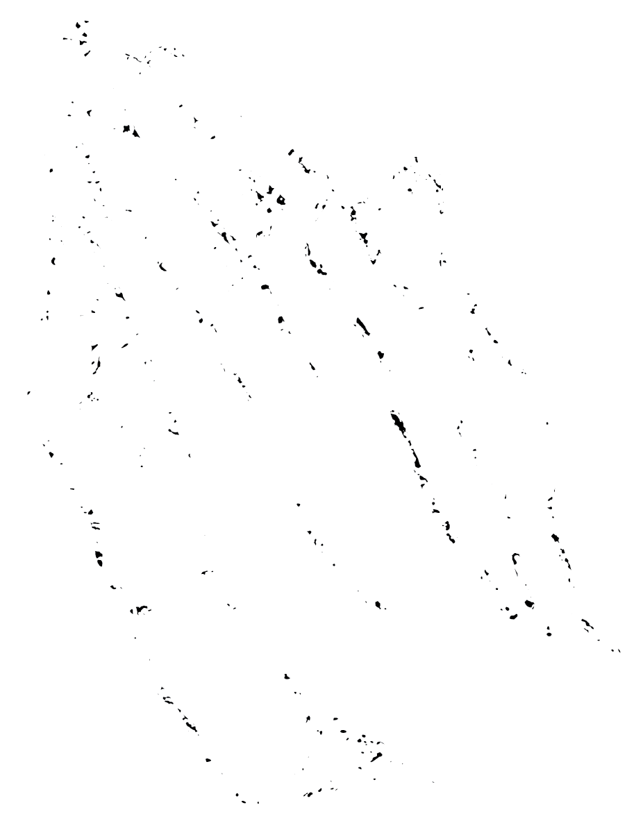 Praying hands